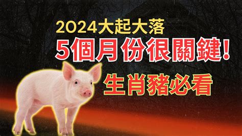 2024年生肖猪运程|【屬豬2024生肖運勢】暗湧頻生，運勢反覆｜屬豬運 